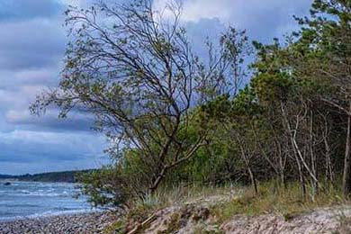 Dota 2 赛事直播技术创新升级，dota2 直播平台