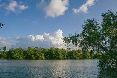 Gen.G选手转会市场动态，grf转会