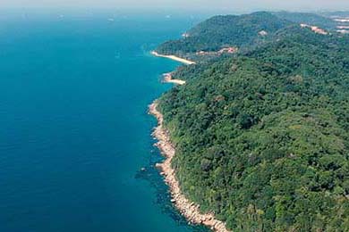 Astralis 在 CCT 赛事中取得佳绩，ccat比赛